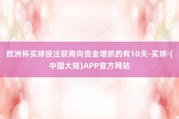欧洲杯买球投注获南向资金增抓的有10天-买球·(中国大陆)APP官方网站