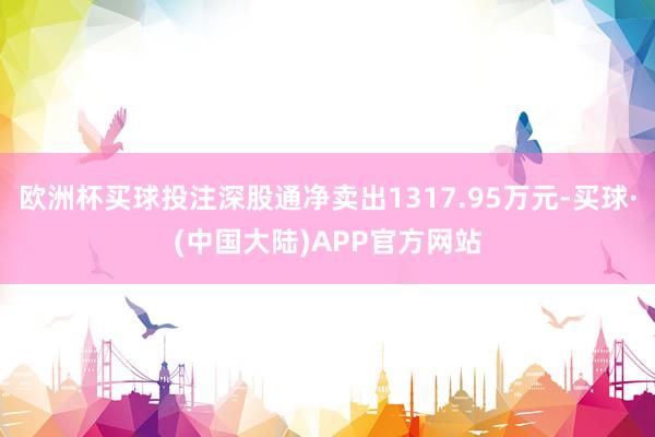 欧洲杯买球投注深股通净卖出1317.95万元-买球·(中国大陆)APP官方网站