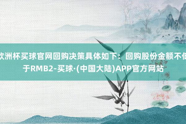 欧洲杯买球官网回购决策具体如下：回购股份金额不低于RMB2-买球·(中国大陆)APP官方网站