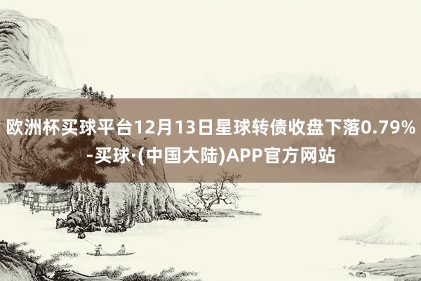 欧洲杯买球平台12月13日星球转债收盘下落0.79%-买球·(中国大陆)APP官方网站