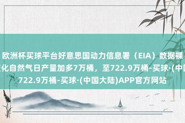 欧洲杯买球平台好意思国动力信息署（EIA）数据裸露，好意思国10月液化自然气日产量加多7万桶，至722.9万桶-买球·(中国大陆)APP官方网站
