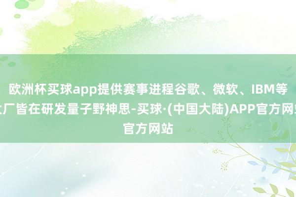 欧洲杯买球app提供赛事进程谷歌、微软、IBM等大厂皆在研发量子野神思-买球·(中国大陆)APP官方网站