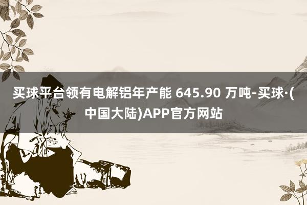 买球平台领有电解铝年产能 645.90 万吨-买球·(中国大陆)APP官方网站
