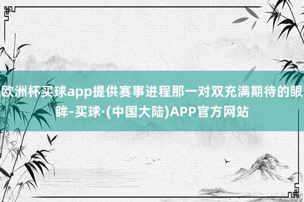欧洲杯买球app提供赛事进程那一对双充满期待的眼眸-买球·(中国大陆)APP官方网站
