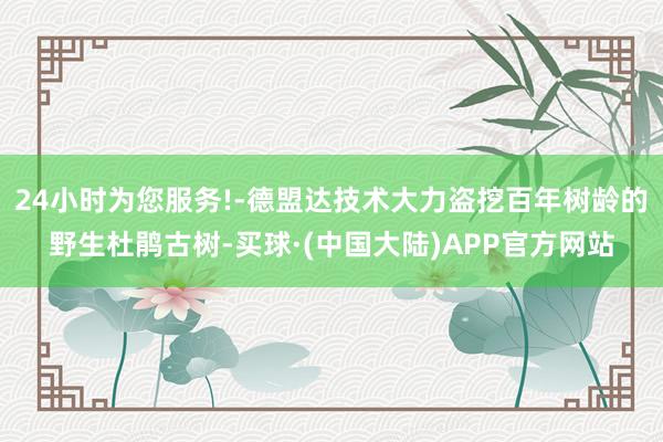 24小时为您服务!-德盟达技术大力盗挖百年树龄的野生杜鹃古树-买球·(中国大陆)APP官方网站