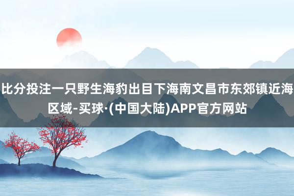 比分投注一只野生海豹出目下海南文昌市东郊镇近海区域-买球·(中国大陆)APP官方网站