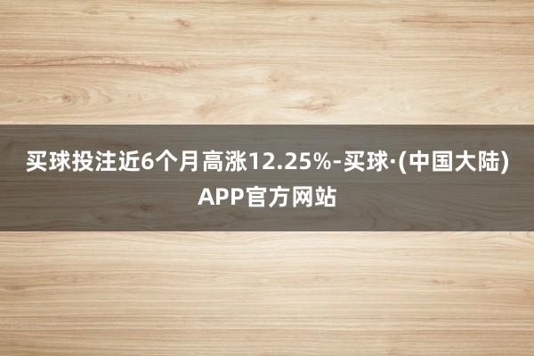 买球投注近6个月高涨12.25%-买球·(中国大陆)APP官方网站