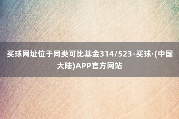 买球网址位于同类可比基金314/523-买球·(中国大陆)APP官方网站