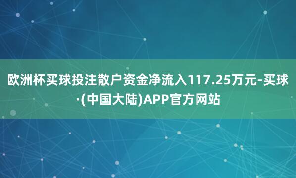 欧洲杯买球投注散户资金净流入117.25万元-买球·(中国大陆)APP官方网站
