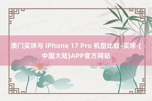 澳门买球与 iPhone 17 Pro 机型比较-买球·(中国大陆)APP官方网站