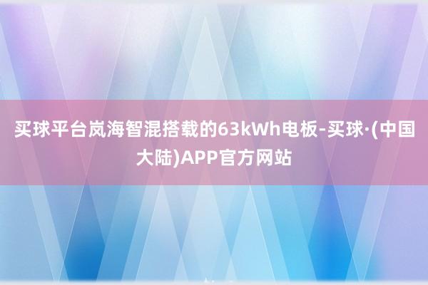 买球平台岚海智混搭载的63kWh电板-买球·(中国大陆)APP官方网站
